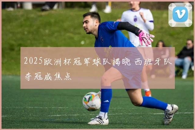 2025欧洲杯冠军球队揭晓 西班牙队夺冠成焦点